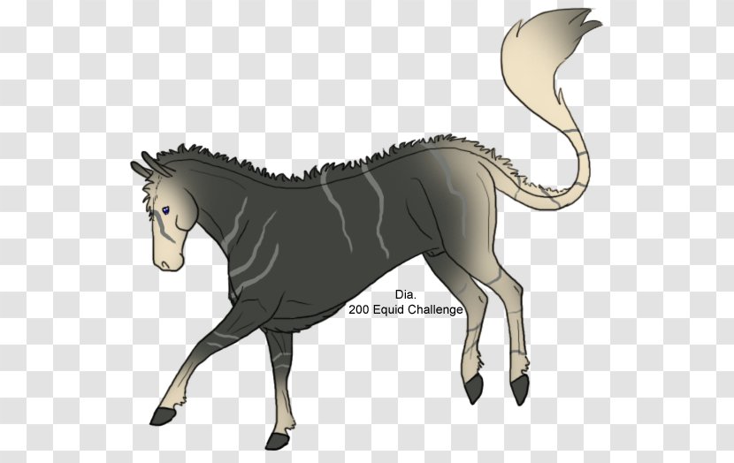 Mane Mustang Stallion Foal Colt - Horse Transparent PNG