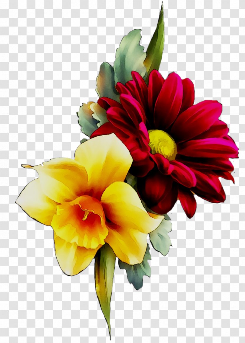 Transvaal Daisy Floral Design Cut Flowers Flower Bouquet - Plant - Family Transparent PNG
