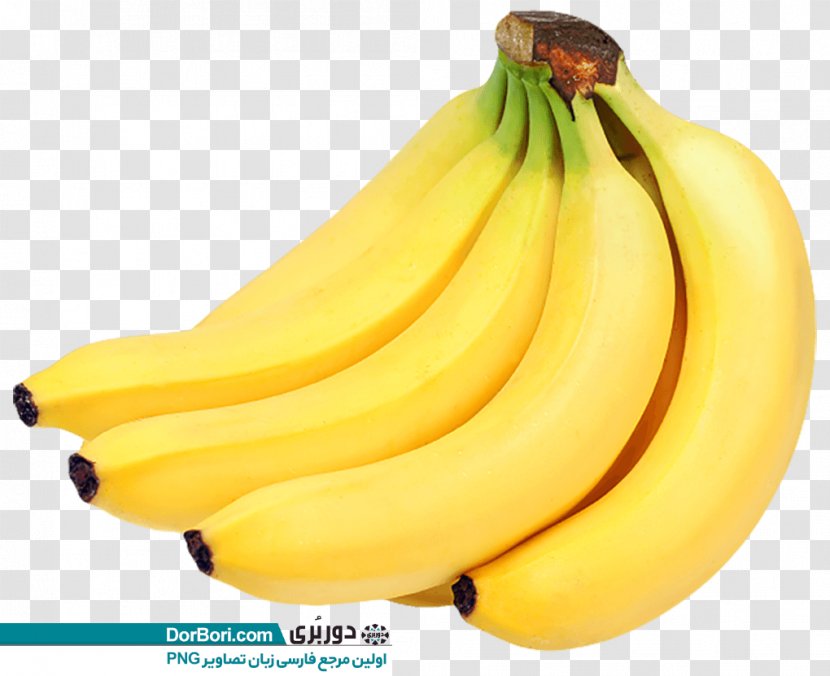Banana Bread Lady Finger Peel - Bunch Transparent PNG