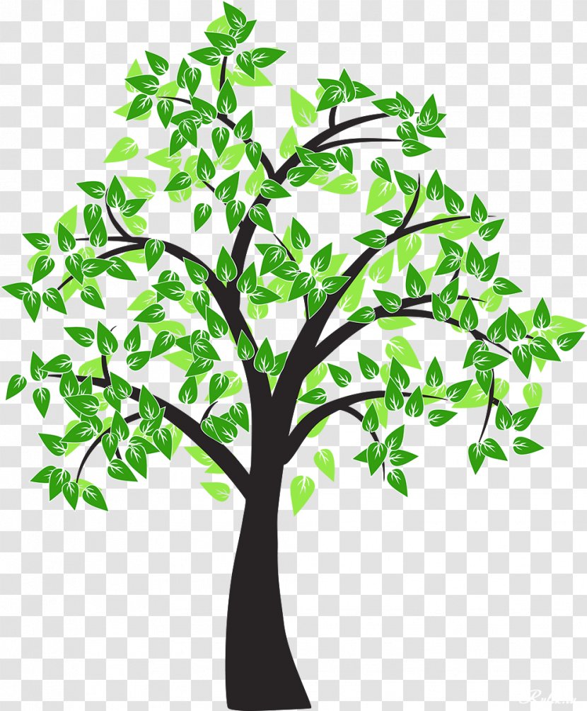 Tree Drawing Cottonwood Leaf - Sticker - Vector Transparent PNG