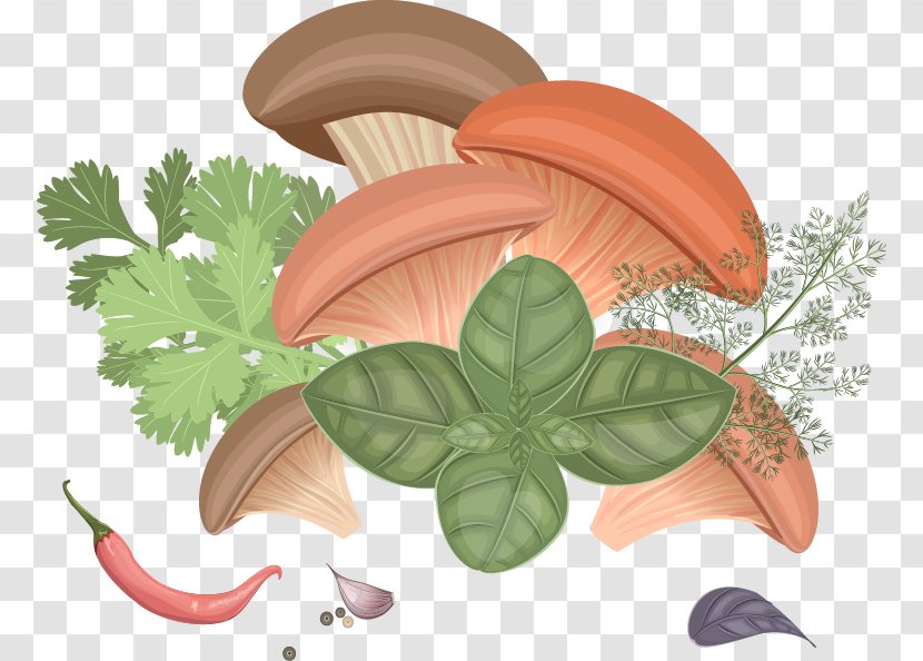 Edible Mushroom Common Fungus - Chili Pepper - Cartoon Mushrooms Transparent PNG