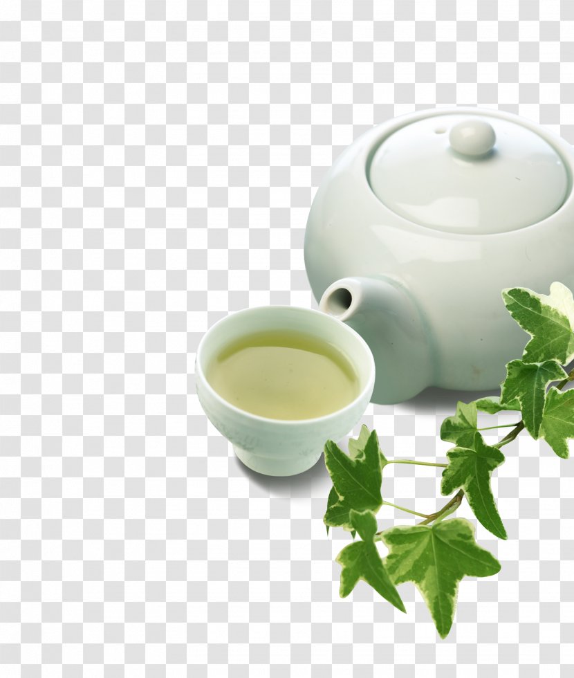Green Tea Cup Chawan Teaware - Alternative Medicine - Ideapie Transparent PNG
