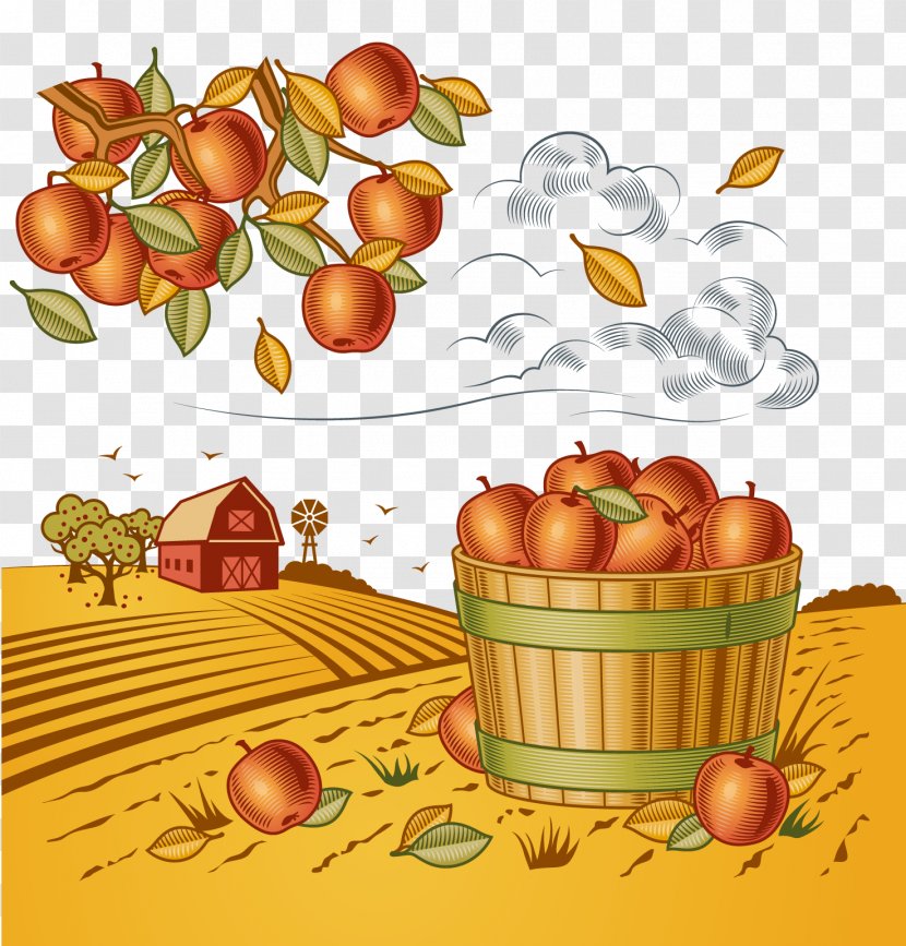 Harvest Royalty-free Clip Art - Vegetable - Autumn Fruit Transparent PNG