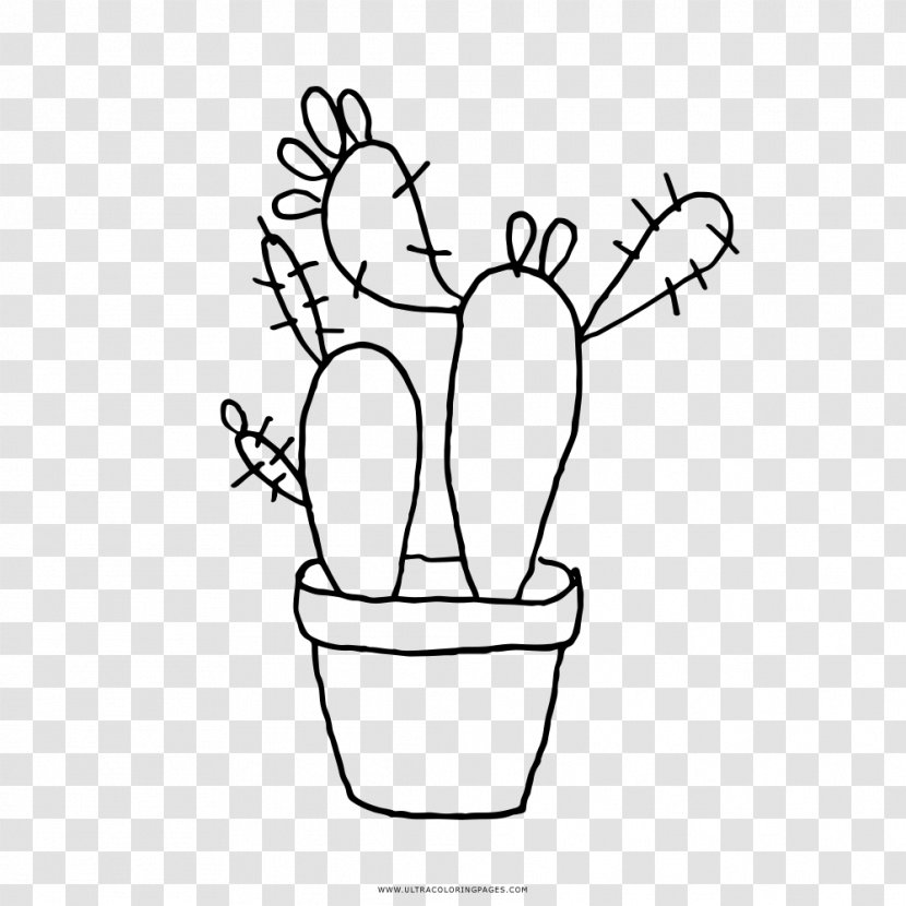 Drawing Black And White Cactaceae Coloring Book - Flower - Painting Transparent PNG