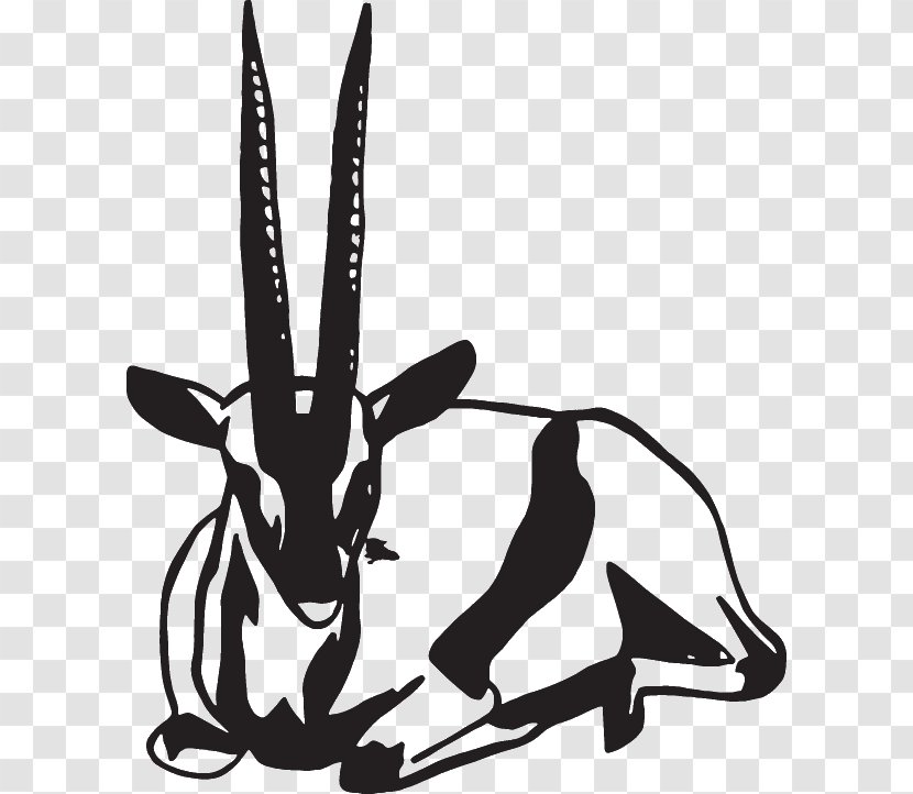 Hare Macropods Mammal Clip Art Canidae - Monochrome - Dog Transparent PNG