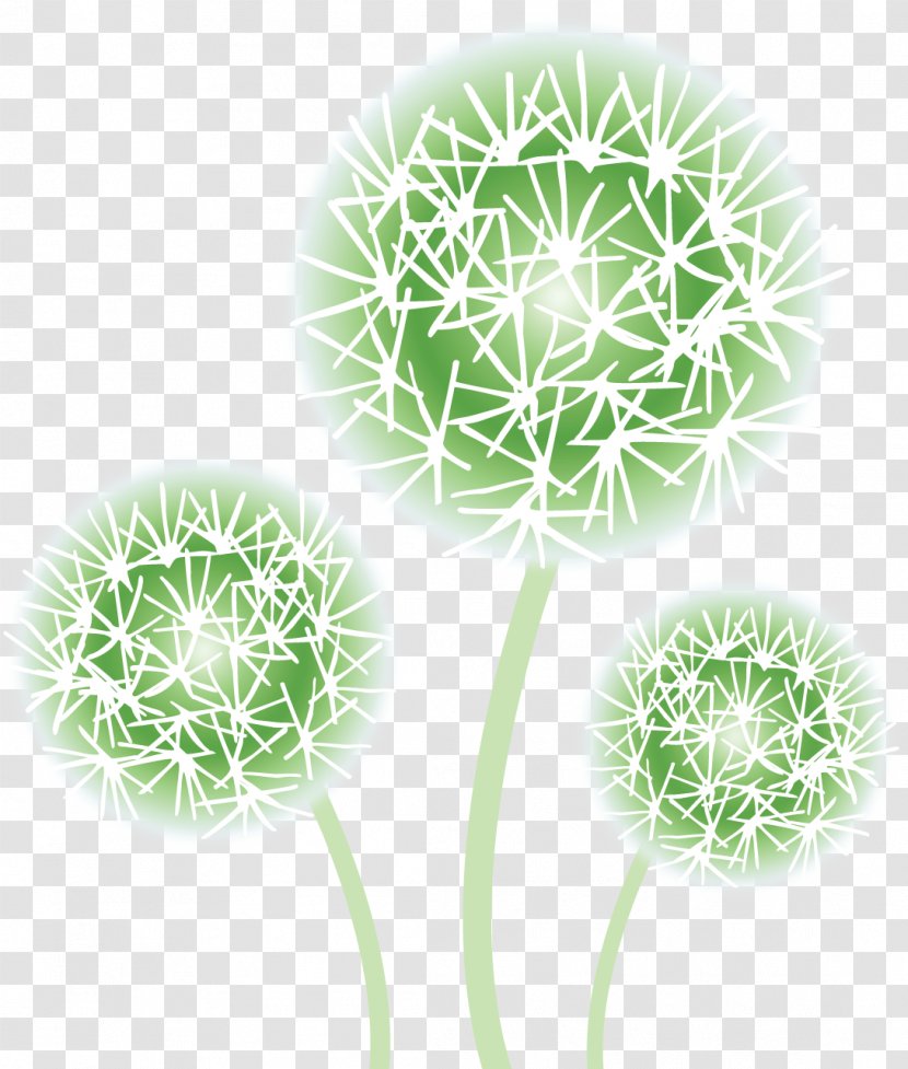 Common Dandelion Raster Graphics Flower Green - Organism Transparent PNG
