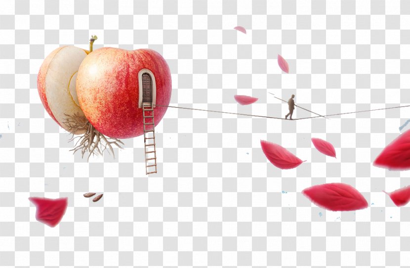 Portrait Thumbnail - Apple - And Petals Transparent PNG