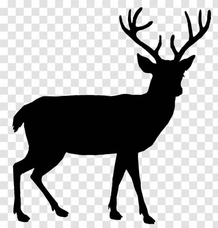 White-tailed Deer Elk Moose Clip Art - Black And White - Reindeer Transparent PNG