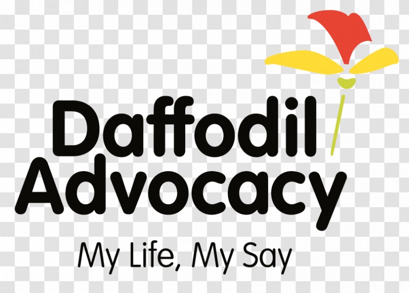 The Daffodil Advocacy Project Management Board Of Directors File System Permissions - Director Transparent PNG