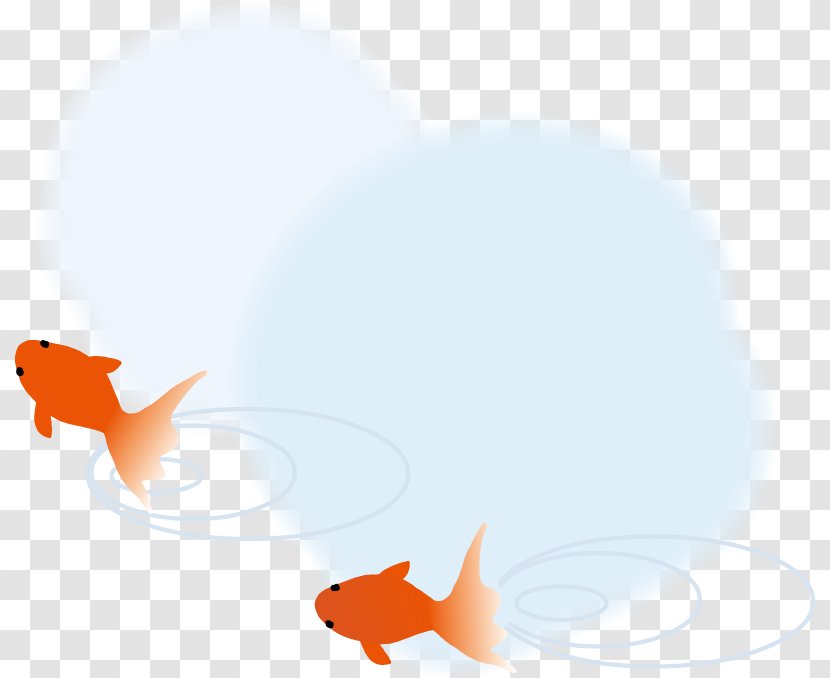 Canidae Goldfish Dog Marine Mammal - Computer Transparent PNG