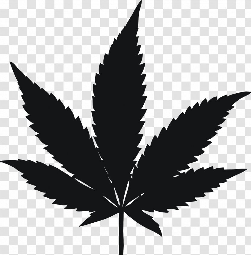 Cannabis Drawing Hemp - Leaf Transparent PNG