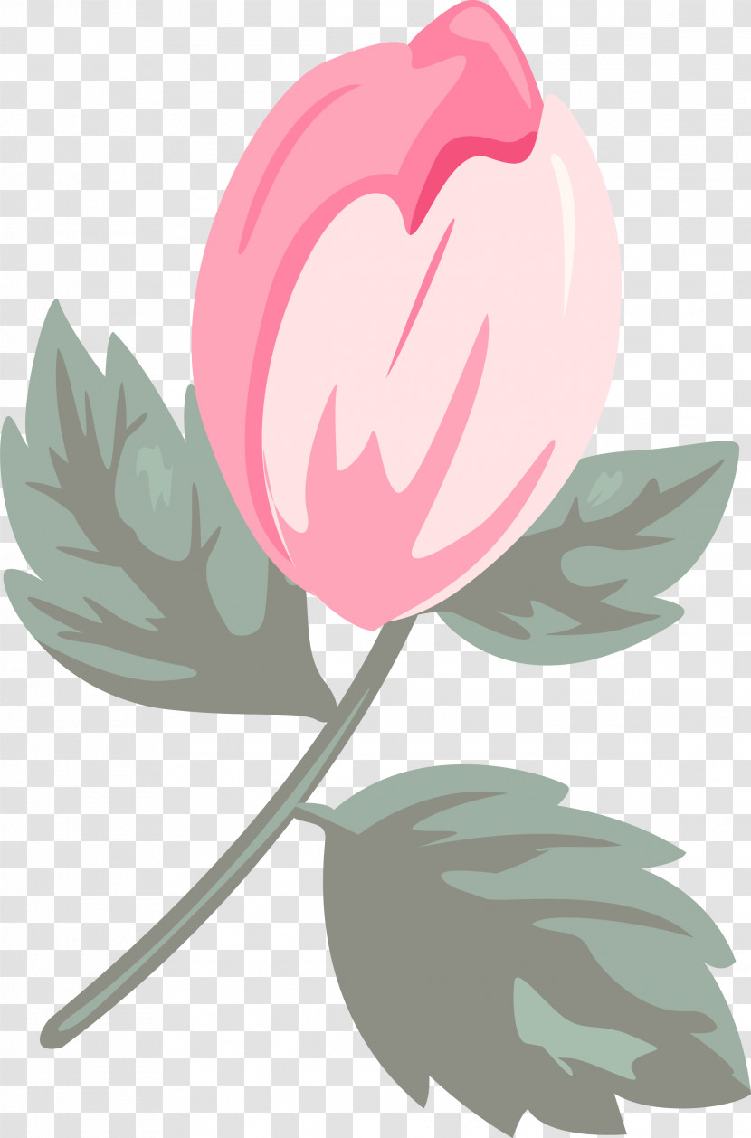 Pink Leaf Flower Tulip Plant Transparent PNG