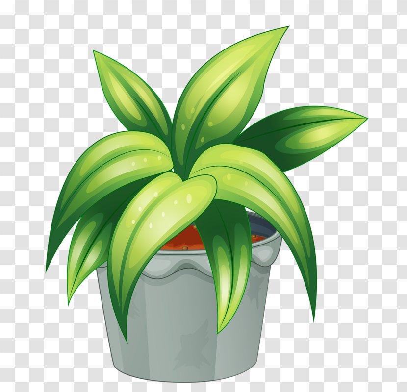 Royalty-free Clip Art - Flowering Plant - Potted Transparent PNG