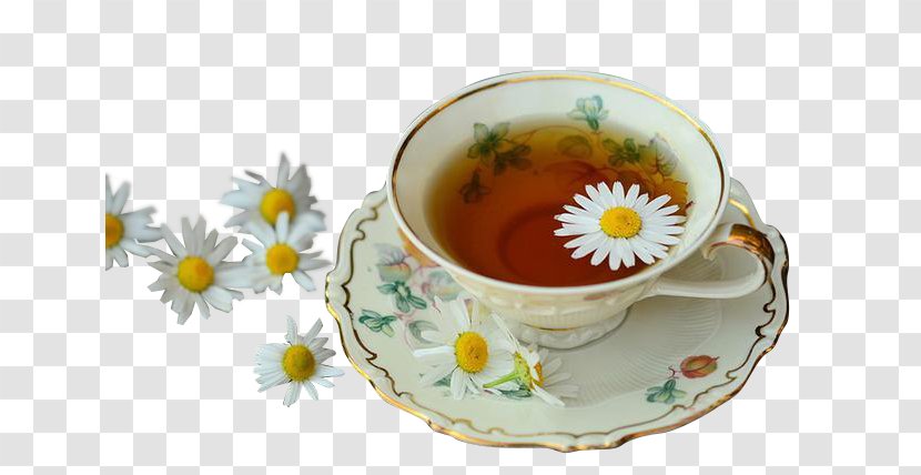 Tea Lotion Chamomile Health Home Remedy - Medicine Transparent PNG