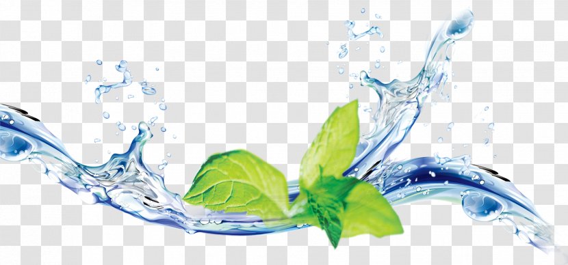 Water Mint Software - Plant - Elemental Transparent PNG