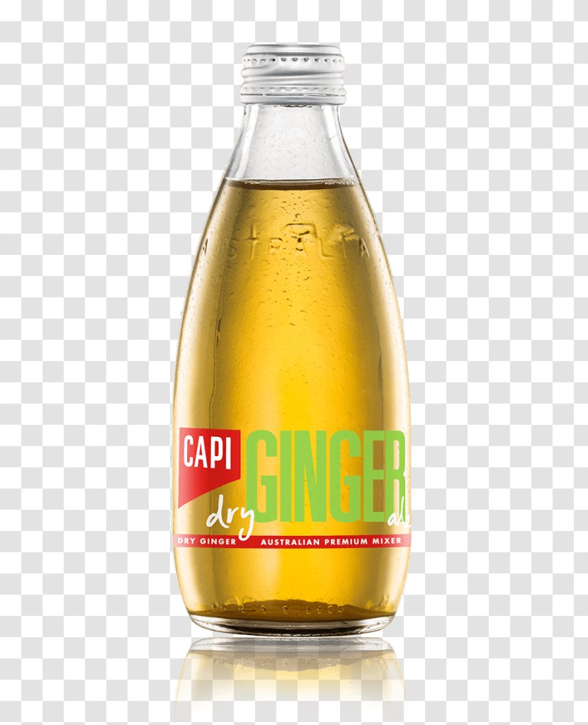 Fizzy Drinks Ginger Ale Tonic Water Beer Drink Mixer - Dry Transparent PNG