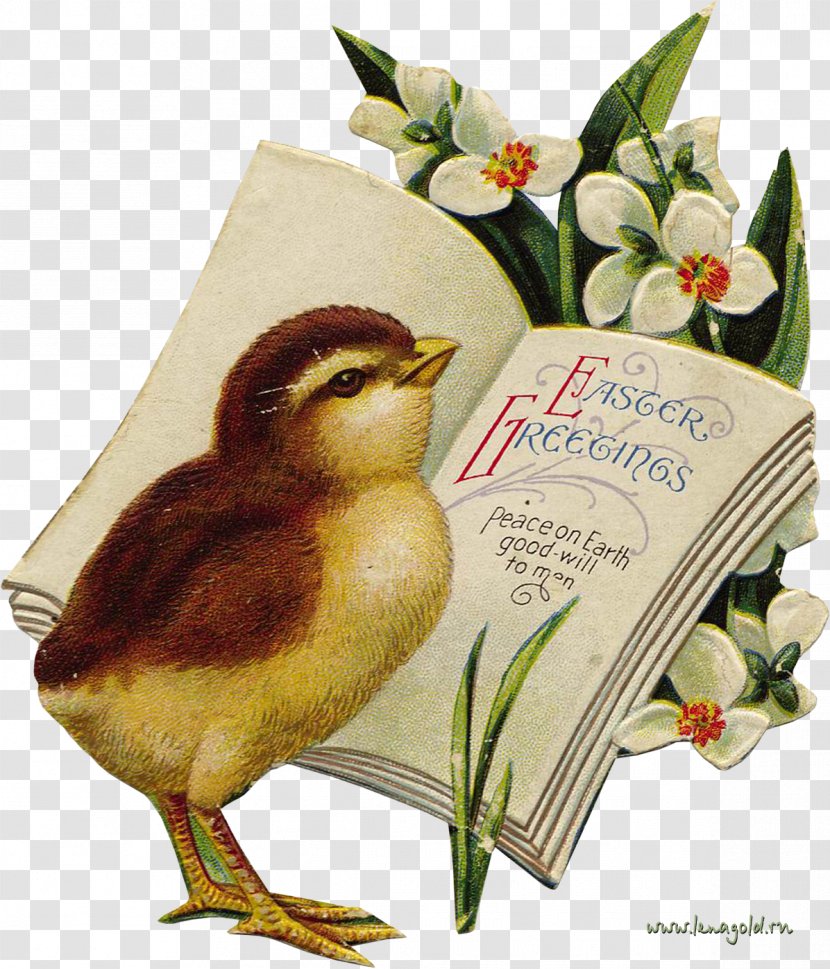 Easter Bunny Egg Postcard Clip Art - Bird - Sunday Transparent PNG