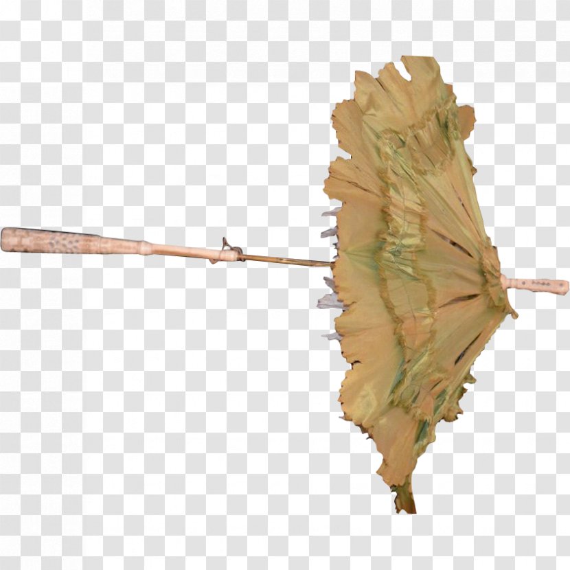 Leaf Twig Plant Stem Transparent PNG