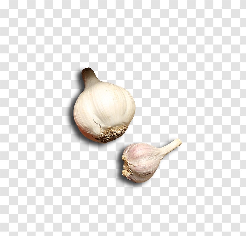 Garlic Vegetable Download Computer File - Resource - Two Transparent PNG