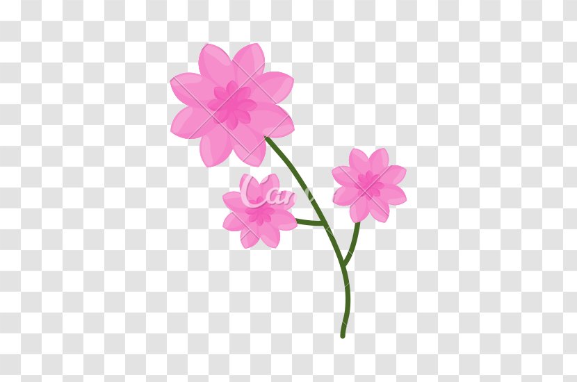 Pink Flowers - Royaltyfree - Flower Transparent PNG