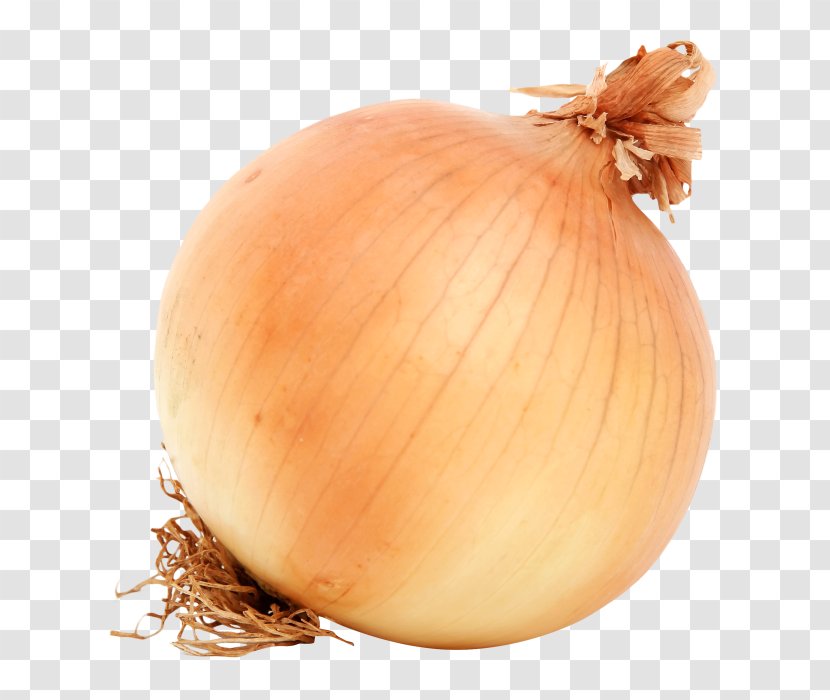 Yellow Onion Vegetable Red White - Genus Transparent PNG