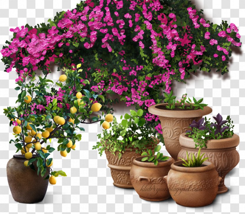 Flowerpot Tree Houseplant Shrub - Flower Transparent PNG