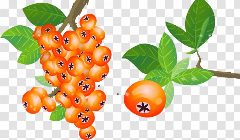 Frutti Di Bosco Papaya Fruit Food - Persimmon Transparent PNG