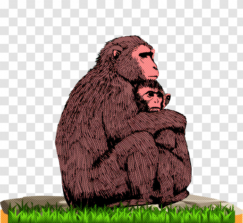 Old World Monkeys Macaques World Cartoon Man-ape Transparent PNG