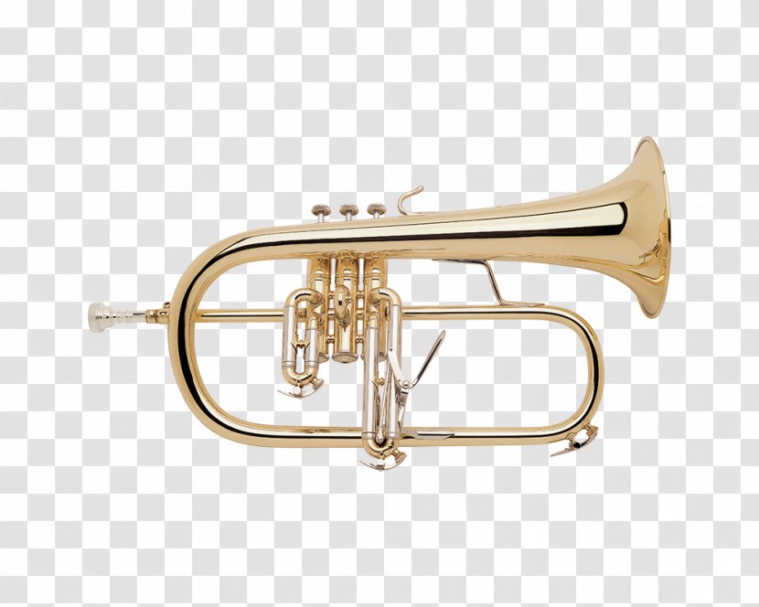 Cornet Flugelhorn Vincent Bach Corporation Trumpet Brass Instruments - Watercolor Transparent PNG