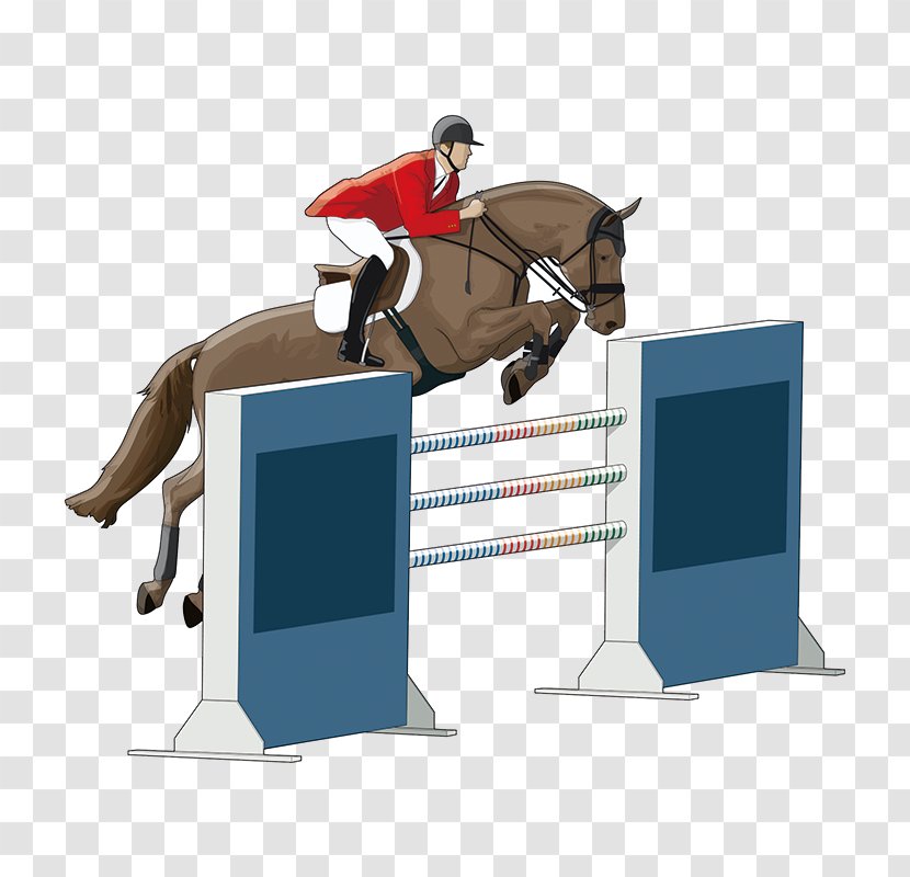 Horse Equestrianism Show Jumping Drawing Illustration - Trainer - Racing Transparent PNG