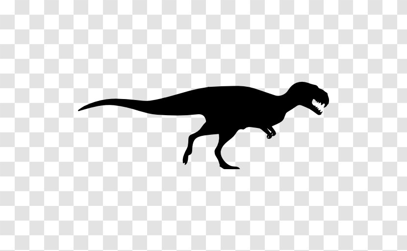 Tyrannosaurus Gorgosaurus Gigantoraptor Dinosaur Velociraptor - Tail - Vector Transparent PNG