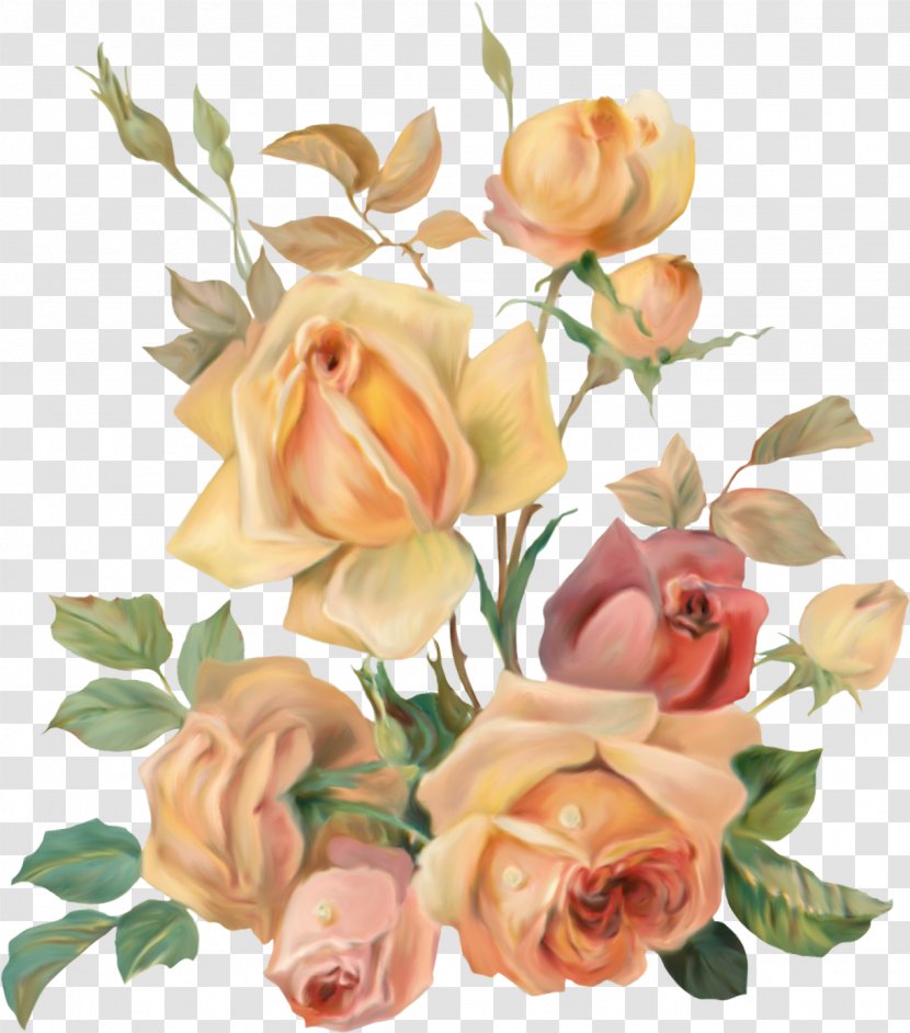 Garden Roses Flower The Of Heliogabalus - Rose Leslie Transparent PNG