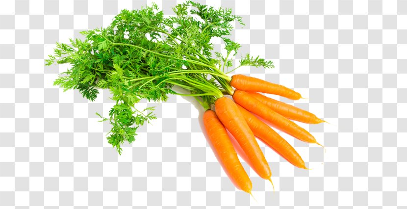 Carrot Vegetable Food Root Oil Transparent PNG