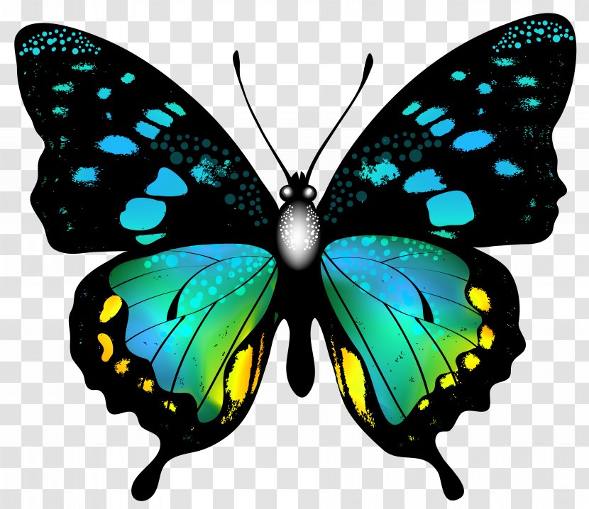 Butterfly Clip Art - Brush Footed - Blue Colorful Image Transparent PNG