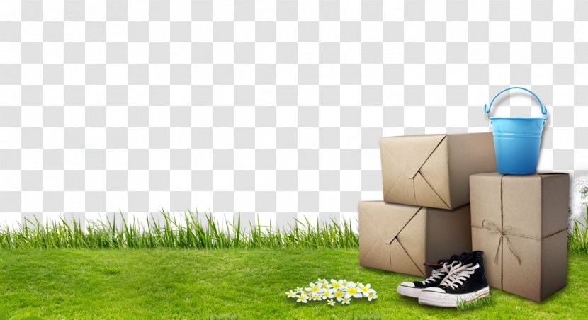 Lawn Cartoon Animation - Energy - Carton Grass Background Material Transparent PNG