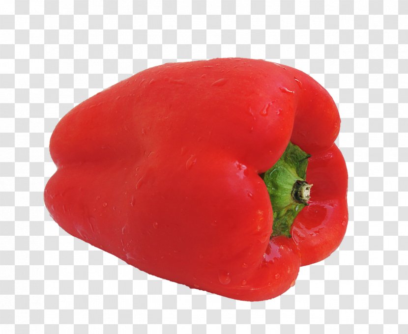 Bell Pepper Vegetable Chili Food - Tabasco Transparent PNG