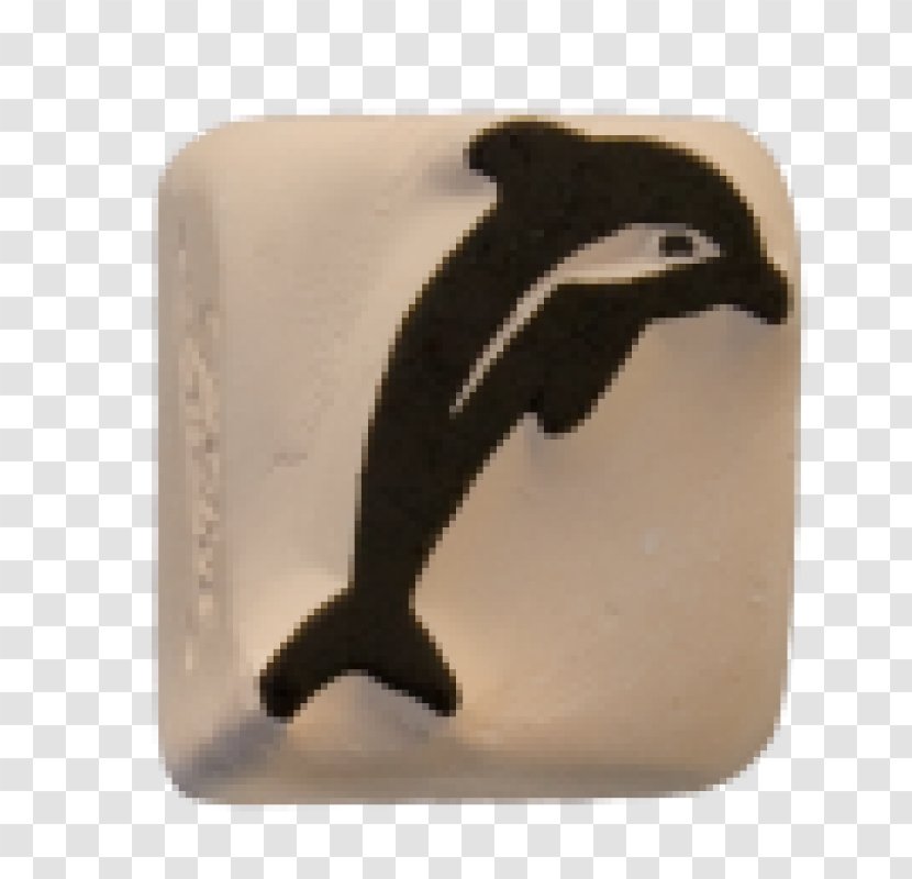 Penguin Fauna - Flightless Bird Transparent PNG