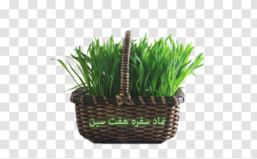 Haft-sin Sabze Nowruz New Year Holiday - Basket Transparent PNG