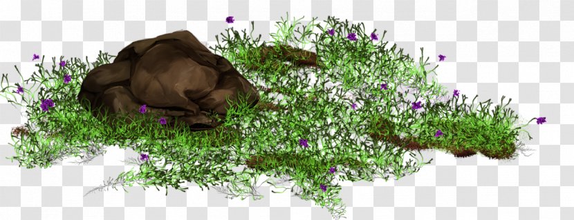 Illustration Image Poster - Lawn - Overgrown Transparent PNG