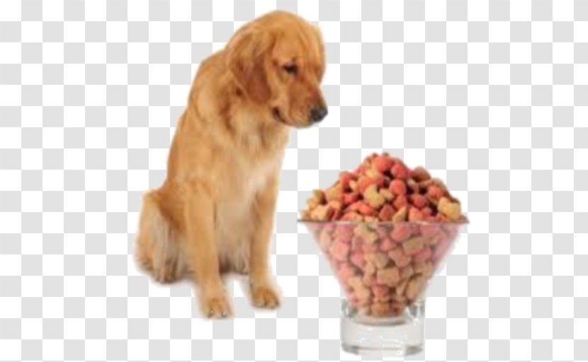 Dog Food - Supply Companion Transparent PNG
