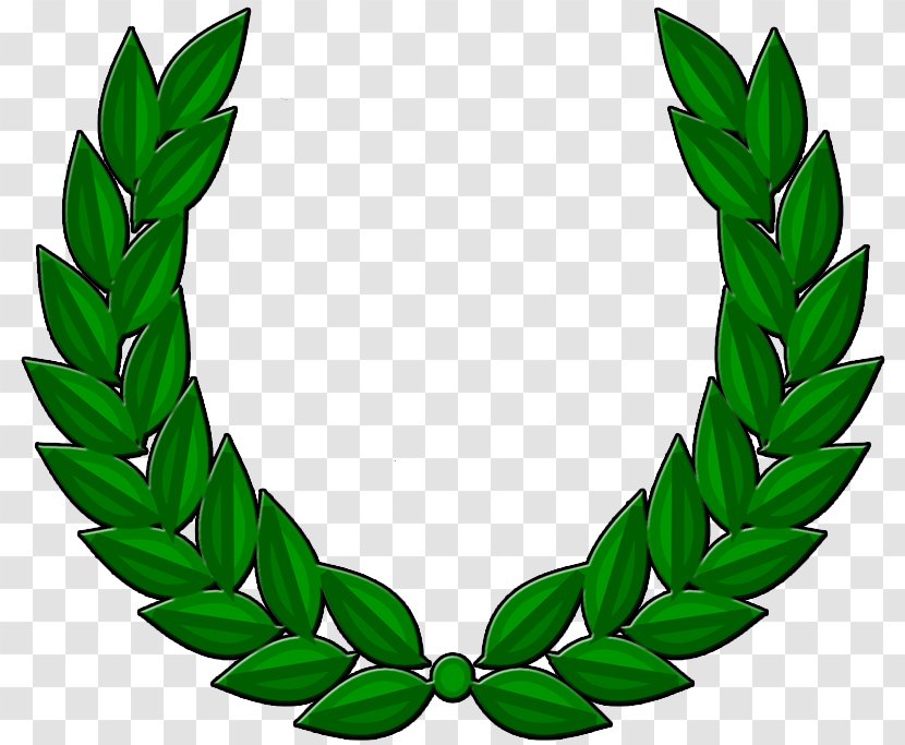 Laurel Wreath Bay Clip Art Transparent PNG