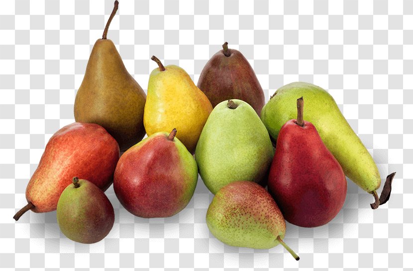Williams Pear D'Anjou Crisp Variety Fruit - Dietary Fiber - Health Transparent PNG