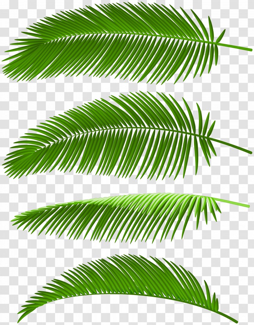 Image Palm Trees Clip Art Leaf - Tree - Icon Design Element Transparent PNG