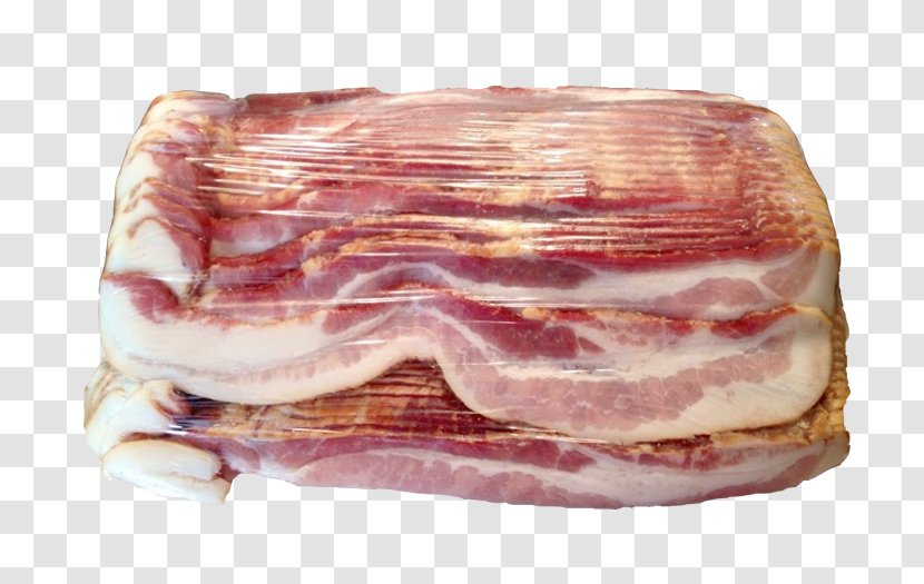 Ham Prosciutto Capocollo Soppressata Meat - Tree Transparent PNG
