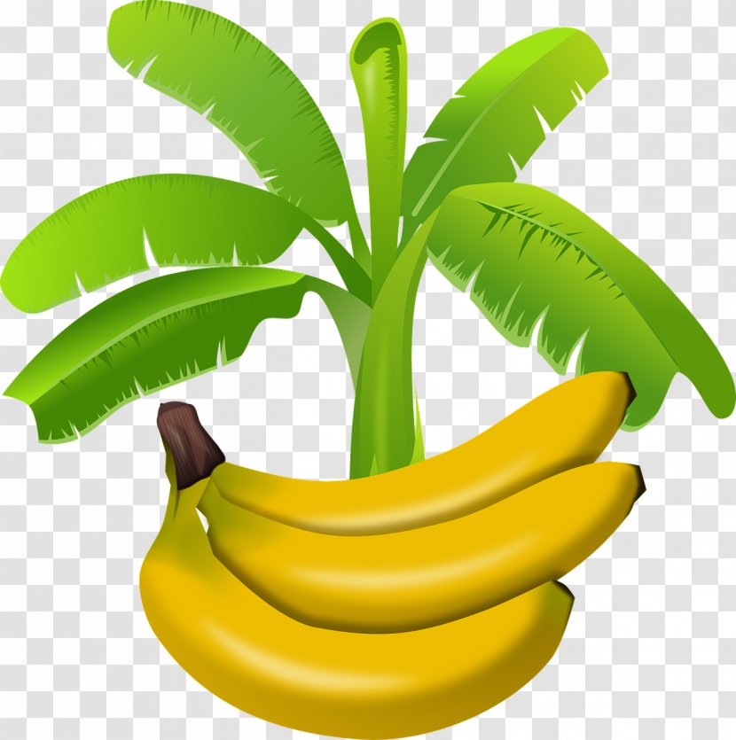 Banana Pudding Saba - Cooking Plantain Transparent PNG