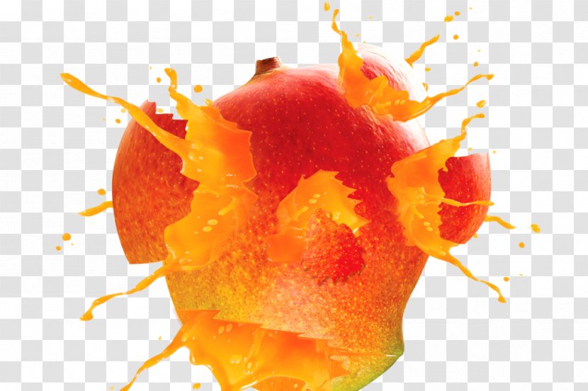 Orange Juice Mango Vesicles - Flower Transparent PNG