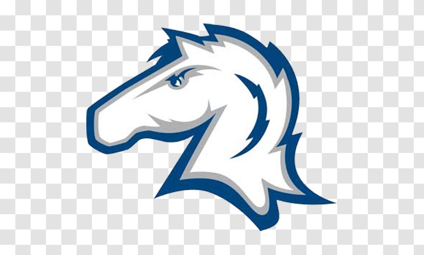 Hillsdale College Chargers Football Women's Basketball Alderson Broaddus University Davis & Elkins - Symbol - Collage Sports Transparent PNG