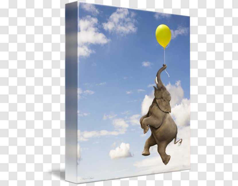 Wall Street JPMorgan Chase Goods Business Investment - Security - Balloon String Transparent PNG