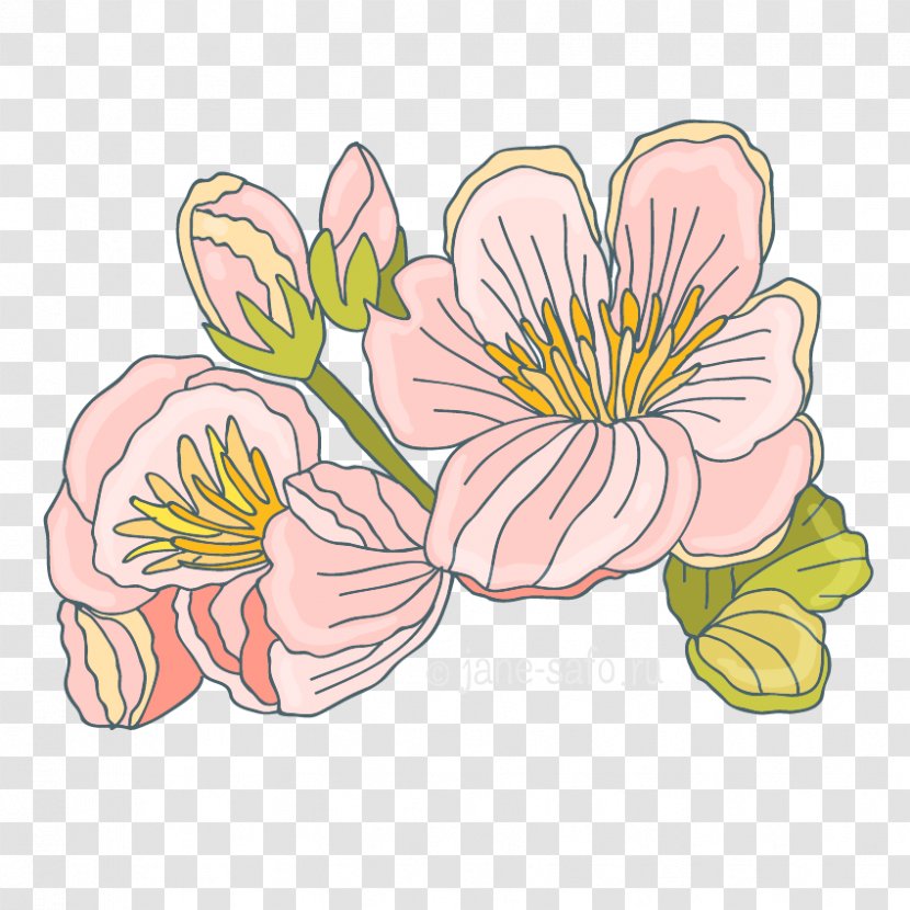 Image Floral Design Flower Clip Art - Drawing Transparent PNG