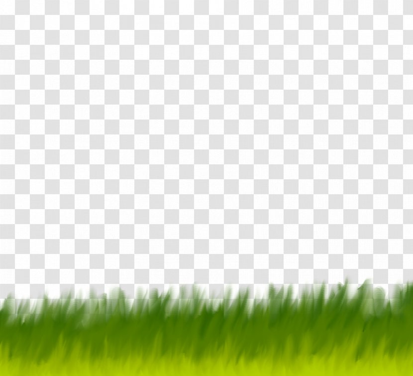Grassland Crop Grasses Lawn Desktop Wallpaper - Grass Family - Wall Transparent PNG